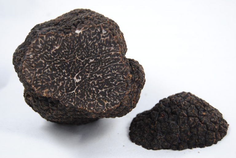 Trufa negra vs otras setas: cómo diferenciarlas y con qué combinarlas