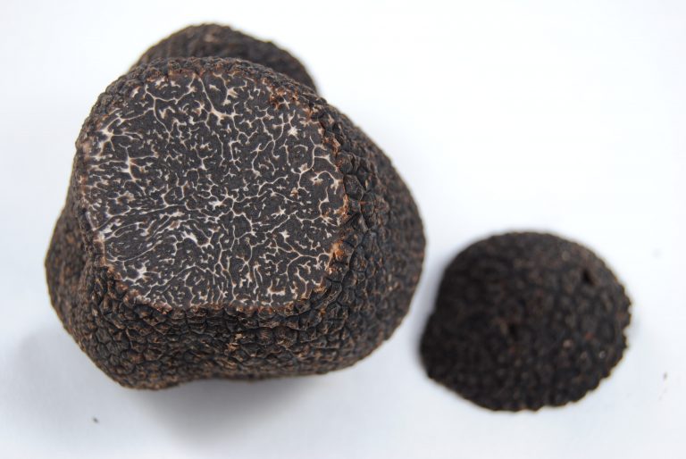 Guía práctica: claves para reconocer una trufa negra de calidad