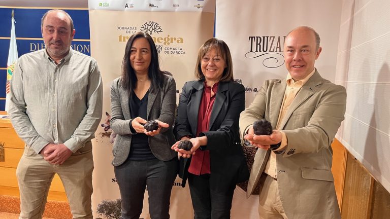 Las VIII Jornadas de la Trufa Negra de la Comarca Campo de Daroca contarán con la primera subasta virtual de trufa de Aragón