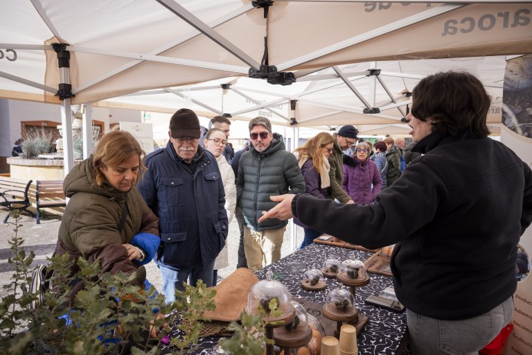 La Comarca Campo de Daroca convierte Manchones en escaparate nacional de la trufa negra